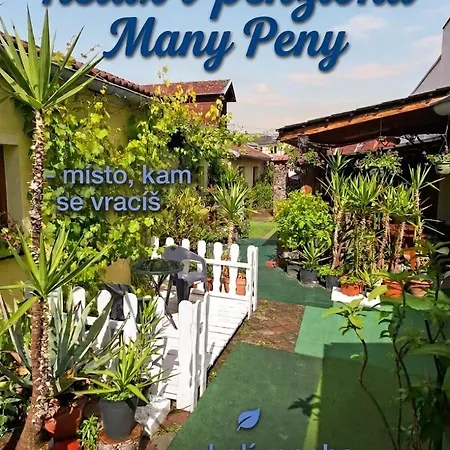 Many Peny 3*